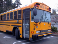 Many students in the United States use school buses.