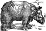 Dürer's Rhinoceros, 1515.