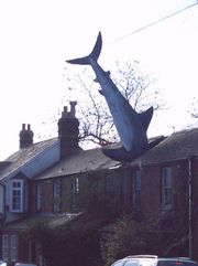 The Oxford shark in Headington