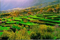 The Hunza valley in northern Pakistan. — Agricultural and scenic
