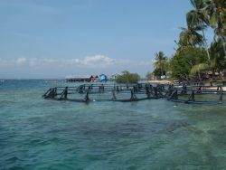 Pearl farm, Seram, Indonesia