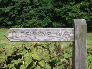 An example of one of the many waymarks used to guide the walker on the Pennine Way. This particular example is near Airton.