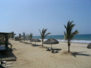 View of the beach in Punta Sal