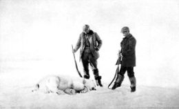 Frænkel (left) and Strindberg with the first polar bear the explorers shot.