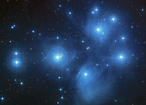 The Pleiades are an open cluster dominated by hot blue stars surrounded by reflection nebulosity