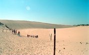 Sand dunes at the Baltic coast in Słowiński National Park