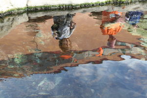 Two people reflected in a fish pond 