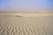 Qatari desert.