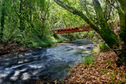 River upstream of an Australian trout farm