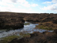 The source of the River Severn in the Winter of 2006.