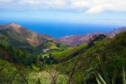 The geological differences between the lush central forest and the barren rocky cliffs on Saint Helena