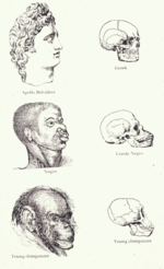 Nott's and Gliddon's Indigenous races of the earth (1857) used misleading imagery to suggest that "Negroes" ranked between whites and chimpanzees. Note the different angles at which the "white" and "negro" skulls are positioned. Such works were instrumental in the legitimation of colonialism.