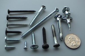 Screws come in a variety of shapes and sizes for different purposes. U.S. Quarter coin (diameter 24mm) shown for scale.