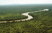 The Gambia River winds through the Niokolo-Koba National Park, Senegal.