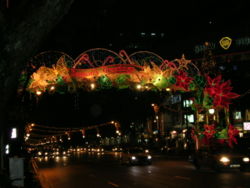 Orchard Road is a popular tourist attraction in Singapore. Every year, Orchard Road is brightly lit during Christmas, so that tourists can enjoy the night scene of the streets every night during this period of time.