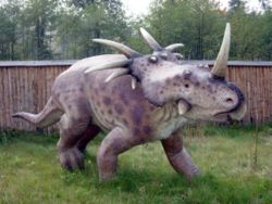 Model Styracosaurus, Bałtów Jurassic Park, Poland.