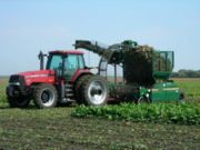 A Beet Harvester