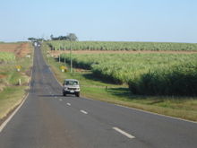 Canefields just south of Childers, Australia.