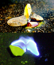 A piece of sulfur melts to a blood-red liquid. When burned, it emits a blue flame.