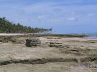 A view from the rocks at Tamandaré Beach in Brazil