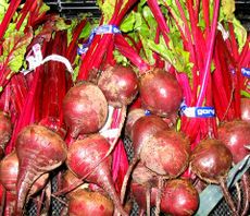 A selection of beets, also known as beetroots (cultivated Beta vulgaris), at a grocery store.
