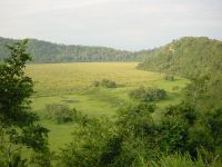 Ngurdoto Crater at Arusha National Park in Tanzania, East Africa.