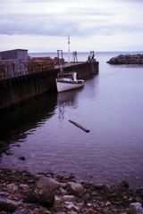 The Bay of Fundy at high tide