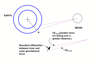 The Moon exerts its gravitational pull differently on different parts of the earth. The farther the Moon, the weaker its pull. Imagine a shell of the outer Earth, this diagram shows the Moon's gravity differential over the thickness of the shell.