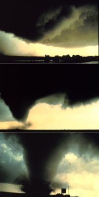 A sequence of images showing the birth of a tornado.  First, the rotating cloud base lowers.  This lowering becomes a funnel, which continues descending while winds build near the surface, kicking up dust and other debris.  Finally, the visible funnel extends to the ground, and the tornado begins causing major damage.  This tornado, near Dimmitt, Texas, was one of the most well-observed violent tornadoes in history.