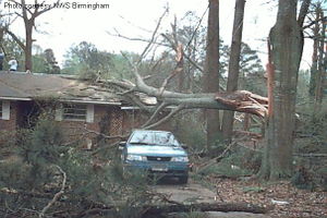 An example of F0 damage.  The only significant damage to structures in this picture was caused by falling tree branches.  Even though well-built structures are typically unscathed by F0 tornadoes, falling trees and tree branches can injure and kill people, even inside a sturdy structure.