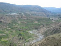 The Colca Canyon in Arequipa, Peru