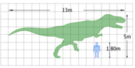 The size of Tyrannosaurus, compared with a 1.8 m (approx. 6 ft) human