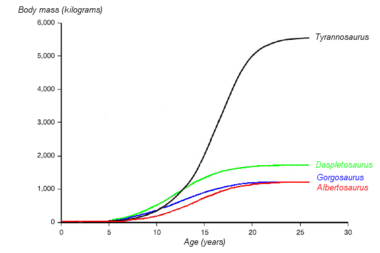 A graph showing the hypothesized growth curves (body mass versus age) of four tyrannosaurids. Tyrannosaurus rex is drawn in black. Based on Erickson et al. 2004