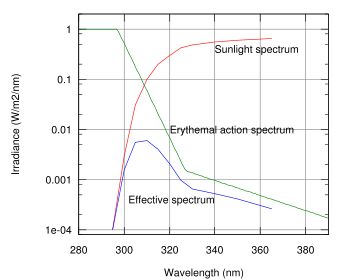 The reddening of the skin due to the action of sunlight depends both on the amount of sunlight as well as the sensitivity of the skin ("erythemal action spectrum") over the UV spectrum.