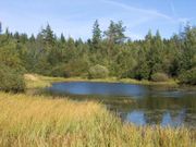 Swamps, forests and a lake in Belarus.