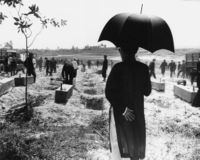 Burial of victims of VC massacre at Hue