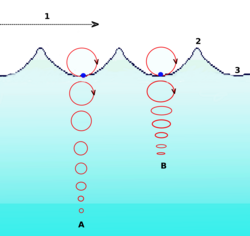  A = At deep water. B = At shallow water.  The circular movement of a surface particle becomes elliptical with decreasing depth. 1 = Progression of wave  2 = Crest 3 = Trough