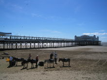 The Grand Pier and beach at low tide.