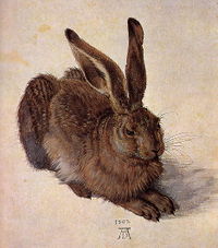 Albrecht Dürer, A Young Hare, 1502, Watercolor with bodycolour, Albertina, Vienna.