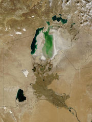 The Aral Sea, in 2003, had shrunk to well under half of the area it had covered fifty years before.