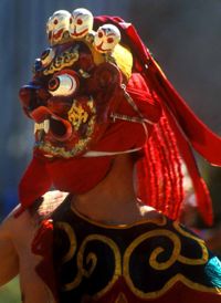 Chaam or the masked dance is a mystic dance performed during Buddhist festivals.