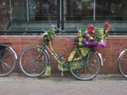 A more-than-typical Amsterdam 'granny bike'