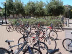 Utility bicycles parked outside an academic building at Stanford University