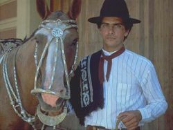 Argentine Gaucho