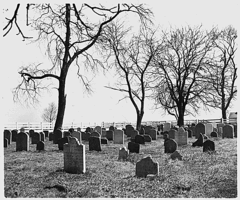 An old Amish cemetery in Lancaster County, Pennsylvania, 1941. The stones are plain and small and the inscriptions are simple.