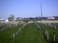  A modern Amish cemetery in 2006. Stones are still plain, small, and simple.