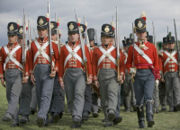33rd Regiment of Foot Wellingtons Redcoats who fought in the Napoleonic Wars between 1812 - 1816 here showing the standard line 8th Company