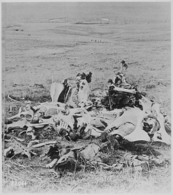 Scene of Custer's last stand, looking in the direction of the ford and the Indian village, 1877.