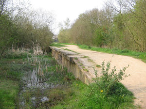 The remains of Rugby Central Station on the former Great Central Railway, one of many closed under the Beeching Axe