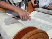 Ashkenazi Torah scroll